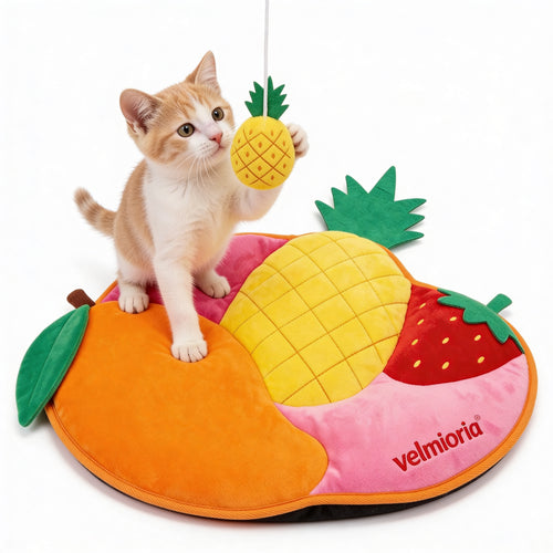 velmioria® Interactive Puzzle Cat Feeder Toy – Slow Feeding Treat Dispenser with Multi-Level Brain Game for Mental Stimulation & Indoor Enrichment